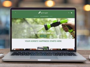 Shopify theme customization - work sample